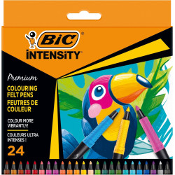 Feutre de Coloriage Intensity Bic